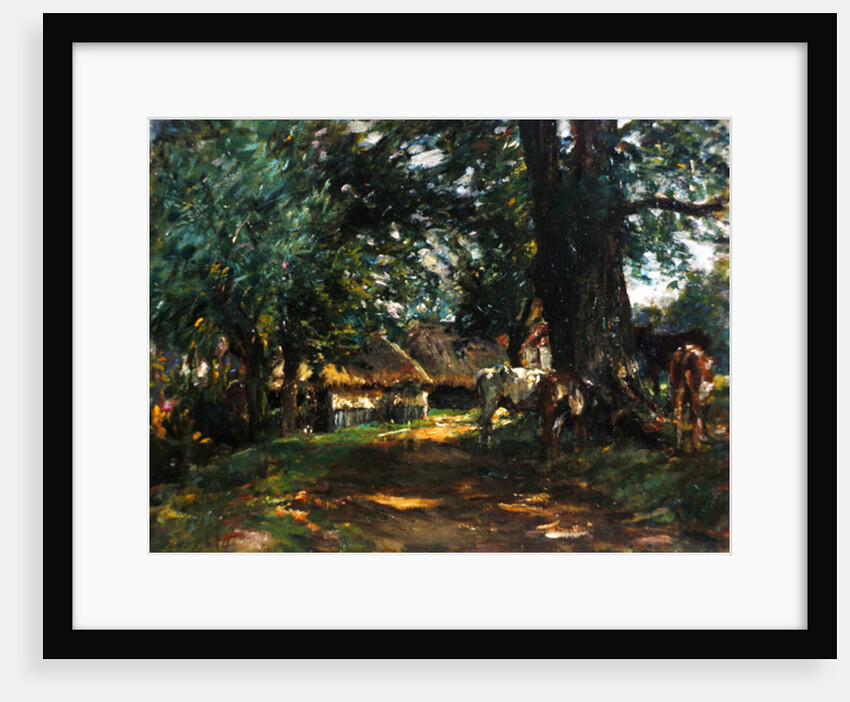 In the Shade by Mark Fisher