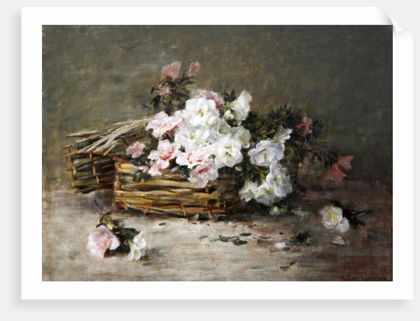A Basket of Flowers by Margaret von Frankenberg