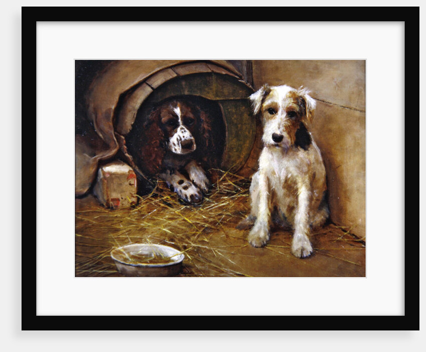 In the Dog House by Samuel Fulton