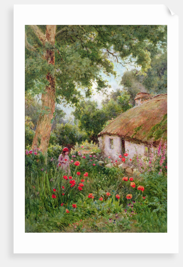 A Cottage Garden by Tom Clough