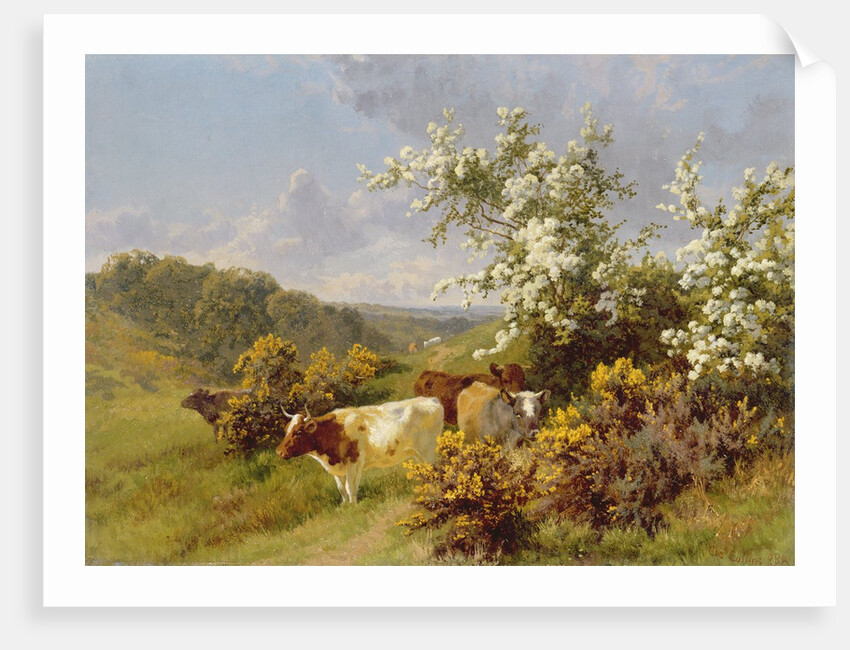 May Blossom by Charles Collins