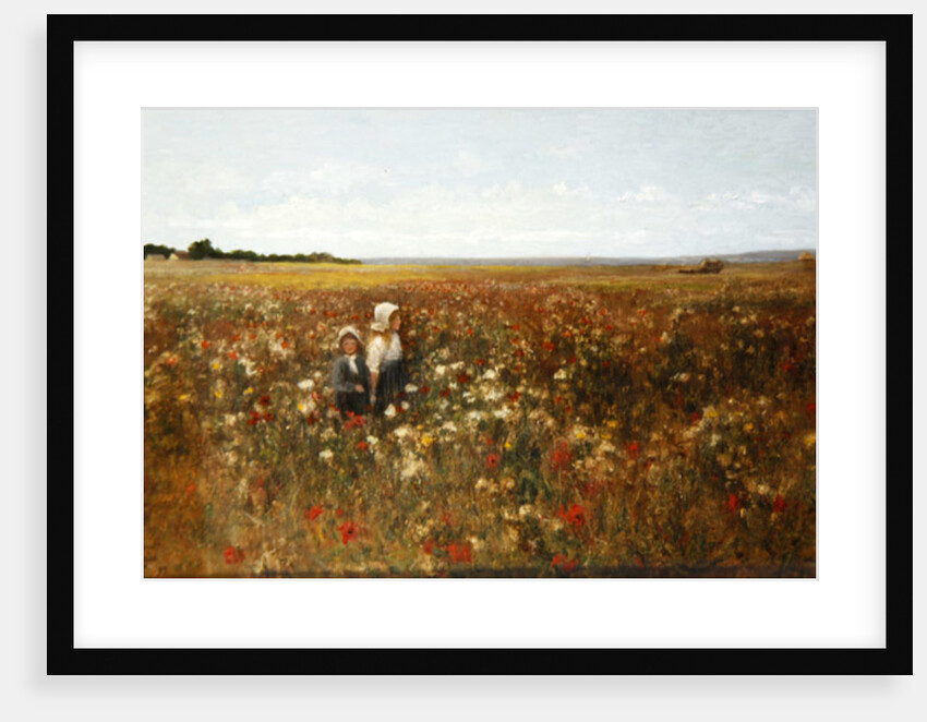 The Poppyfield, 1897 by Kate Colls