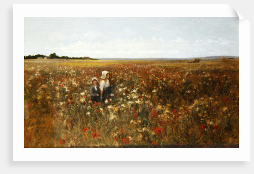 The Poppyfield, 1897 by Kate Colls