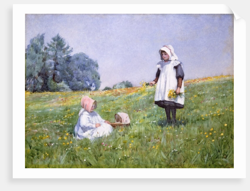 Buttercups and Daisies by Minnie Jane Hardman