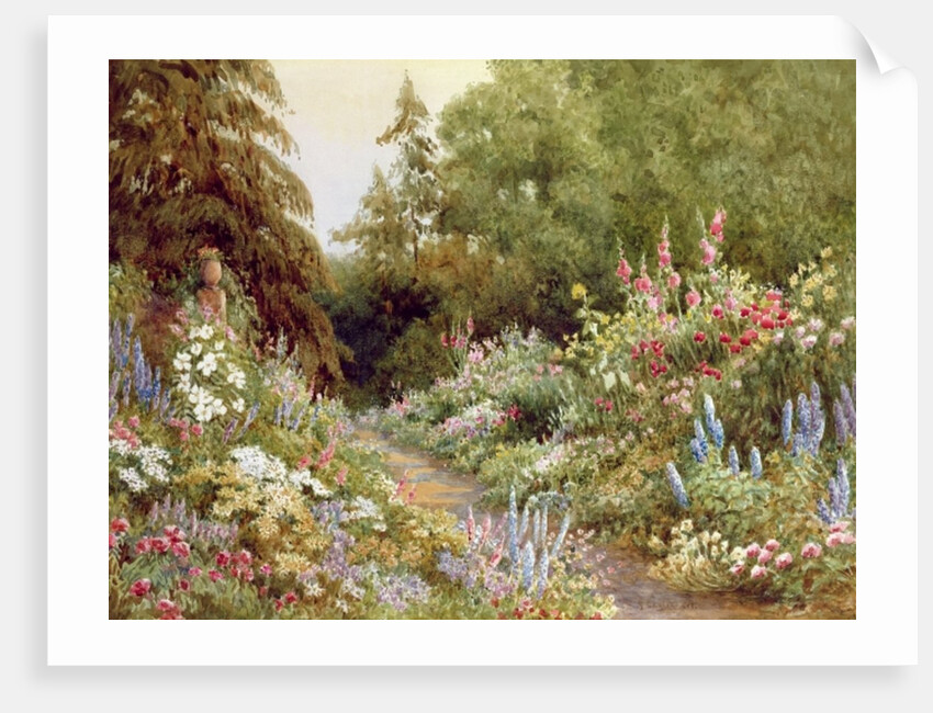 Herbaceous Border by Evelyn L. Engleheart