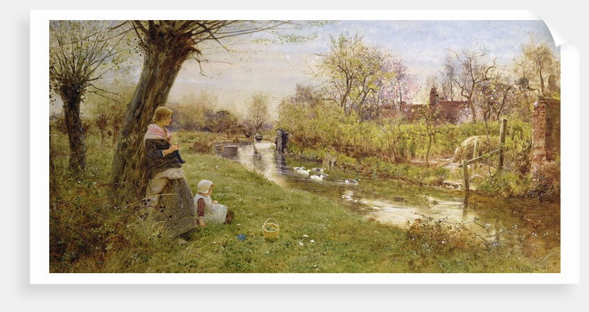 Watching the Ducks, 1890 by Thomas James Lloyd