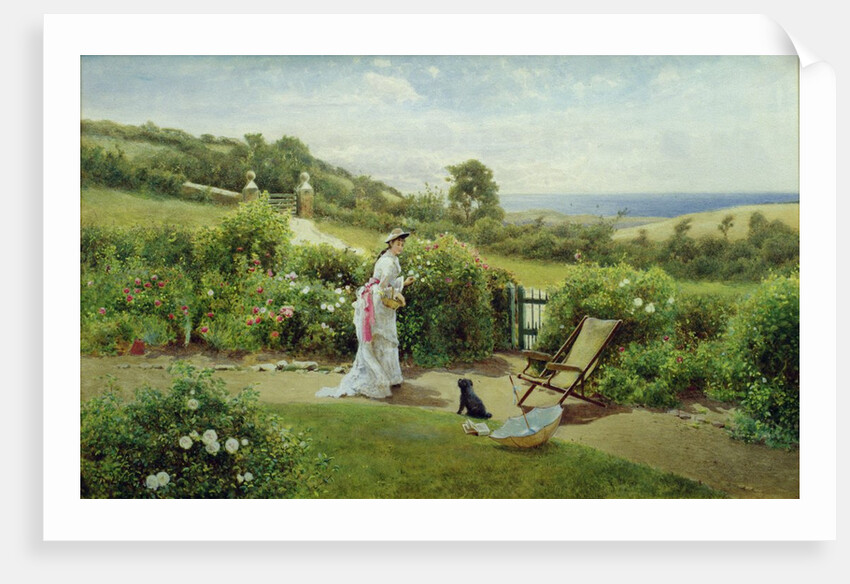 In the Garden, 1903 by Thomas James Lloyd