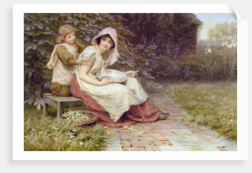 Shelling Peas by Constance Phillott