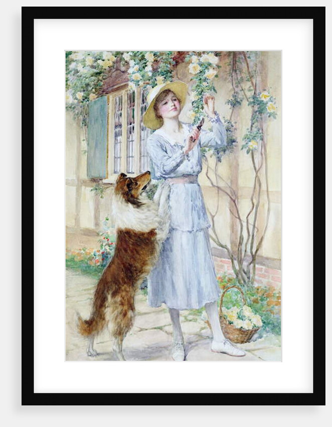 Picking Roses by William Henry Margetson