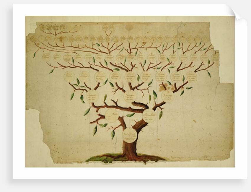 Bach Family Tree, c.1750-1770 by German School