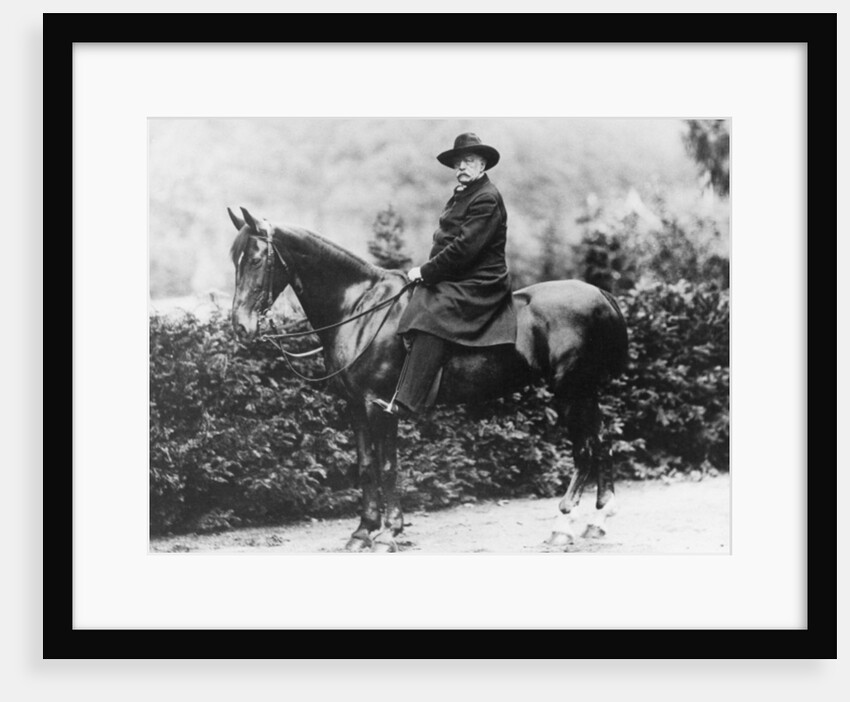 Prince Bismarck in Friedrichsruh, 1890 by School German