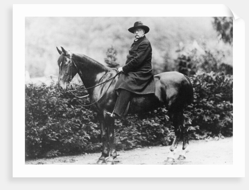 Prince Bismarck in Friedrichsruh, 1890 by School German