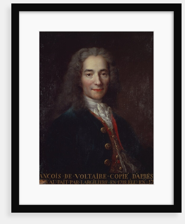Portrait of Voltaire by Catherine Lusurier