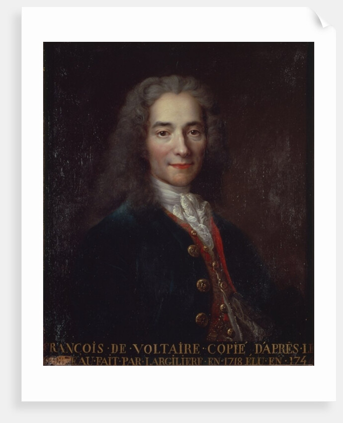 Portrait of Voltaire by Catherine Lusurier