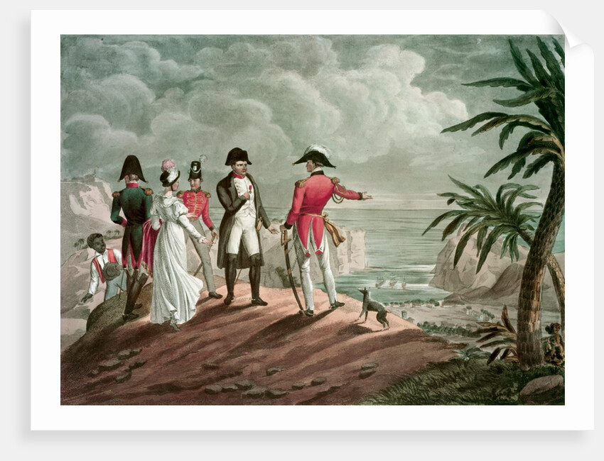 Bonaparte on St. Helena by Francois (after) Martinet