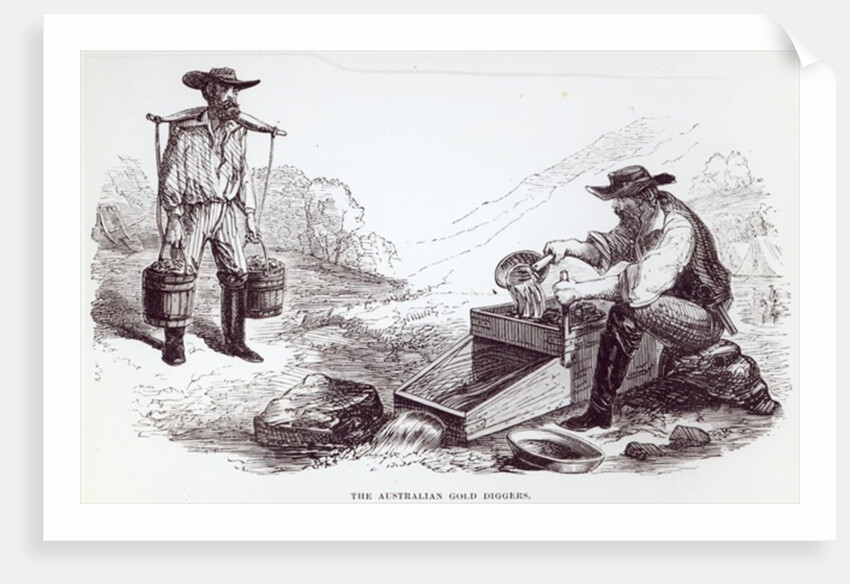 The Australian Gold Diggers by English School