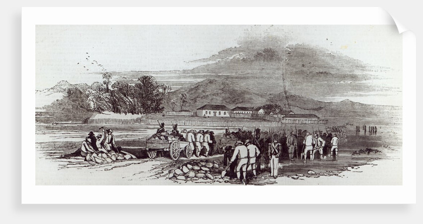 Norfolk Island by English School