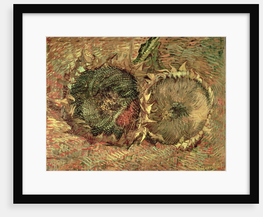 Two Cut Sunflowers, 1887 by Vincent van Gogh
