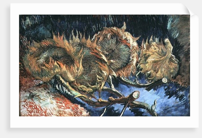 Four sunflowers gone to seed, 1887 by Vincent van Gogh