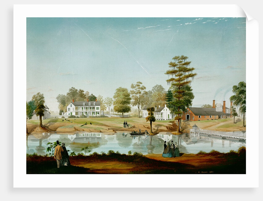 The Olivier Plantation, 1861 by Adrien Persac