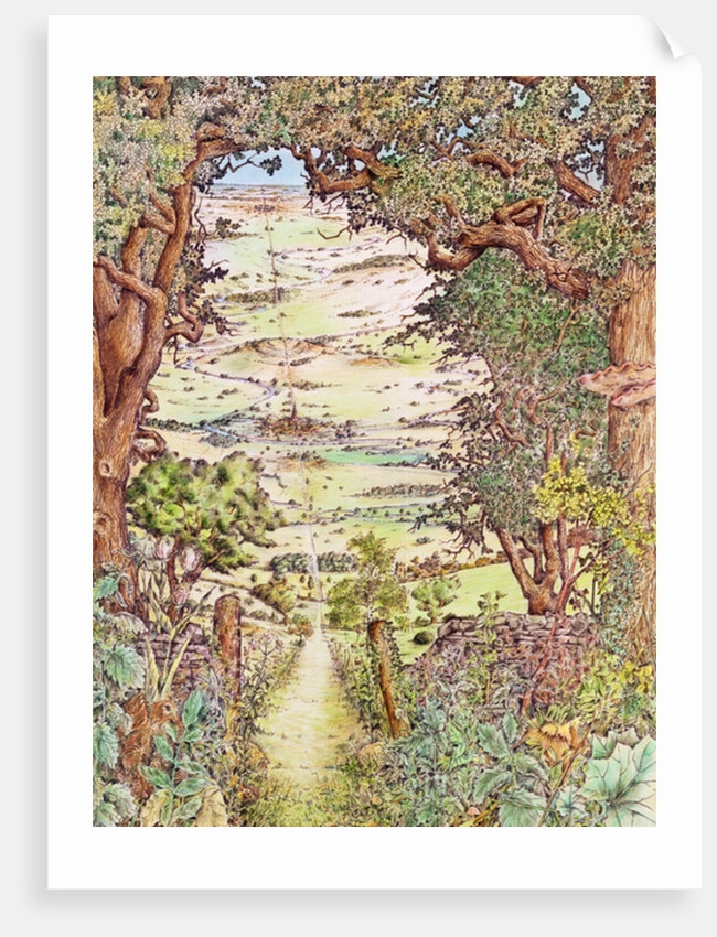 Ley-line in the English countryside by Anonymous Anonymous