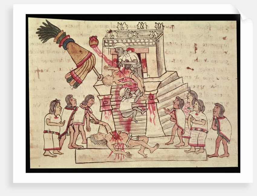 B.R. 232 fol.70r A human sacrifice from the Codex Magliabechiano by Aztec