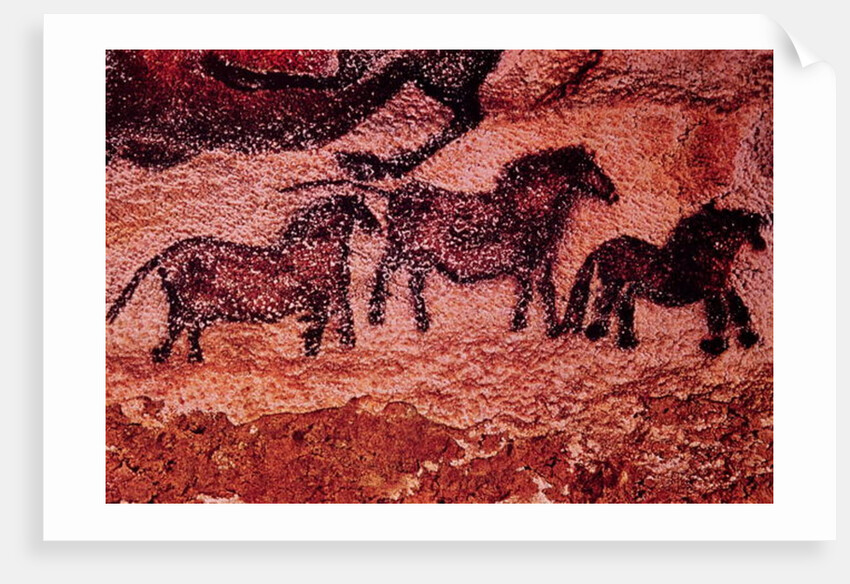 Rock painting of tarpans, c.17000 BC by Prehistoric Prehistoric
