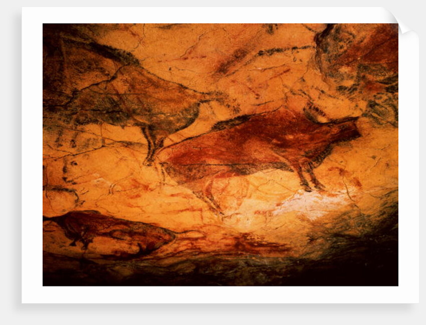 Bison from the Caves at Altimira, c.15000 BC by Prehistoric Prehistoric