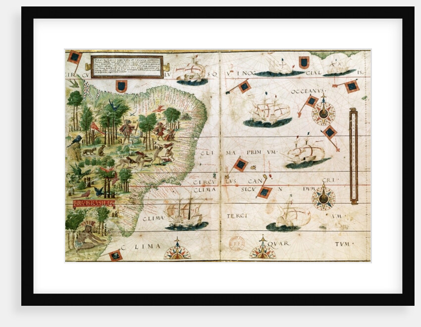 Brazil from the 'Miller Atlas' by Pedro Reinel, c.1519 by Portuguese School