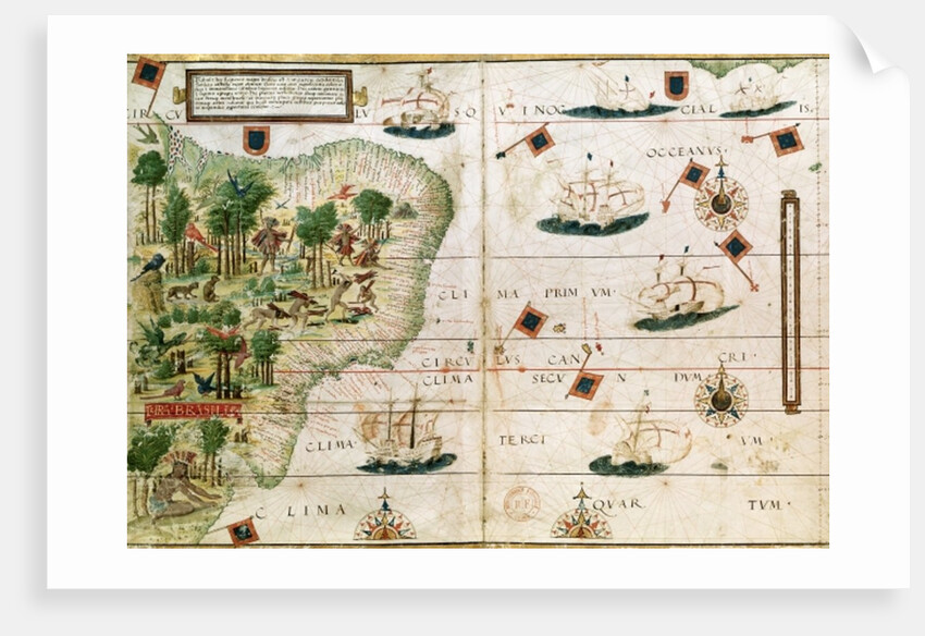Brazil from the 'Miller Atlas' by Pedro Reinel, c.1519 by Portuguese School