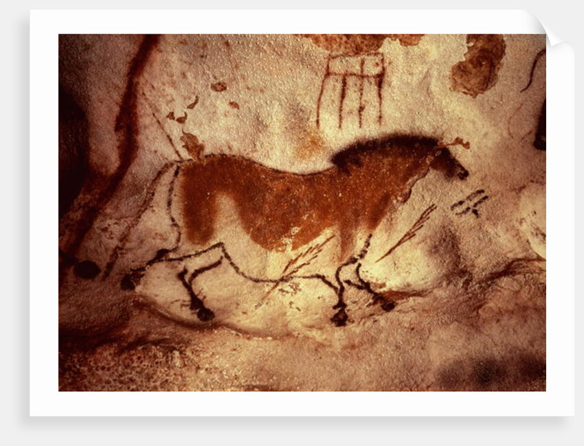 Rock painting of a horse, c.17000 BC by Anonymous