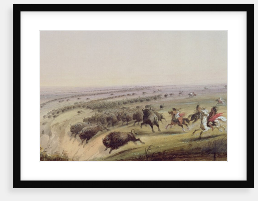 Hunting Buffalo, 1837 by Alfred Jacob Miller