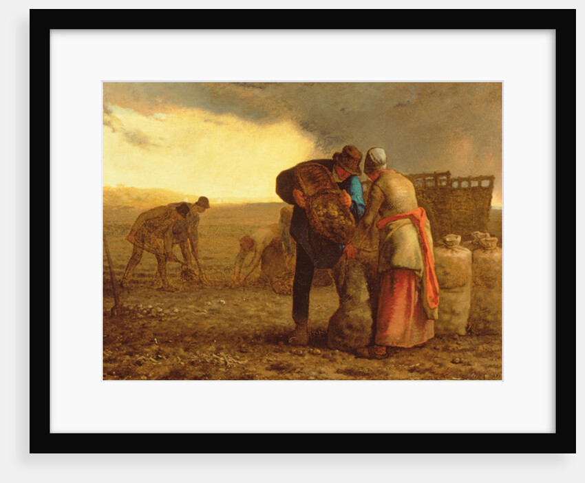 The Potato Harvest, 1855 by Jean-Francois Millet