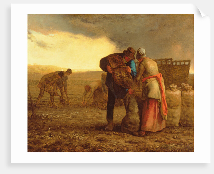 The Potato Harvest, 1855 by Jean-Francois Millet