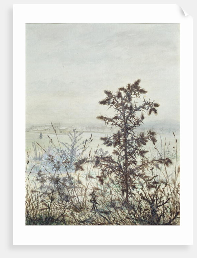 Thistles and Weeds, 1864 by Leon Bonvin