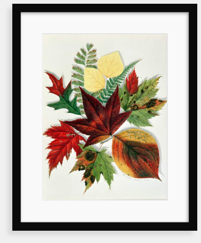 Autumn Leaves, 1858 by Nina Moore