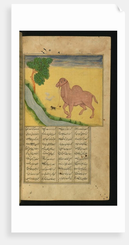 A Mouse, Clutching the Reins of a Camel, at a Stream of Water by Persian School