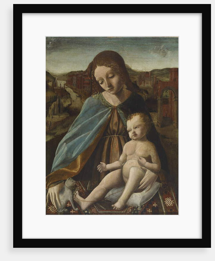 Madonna and Child with Cat, 1485-95 by Master of the Pala Sforzesca