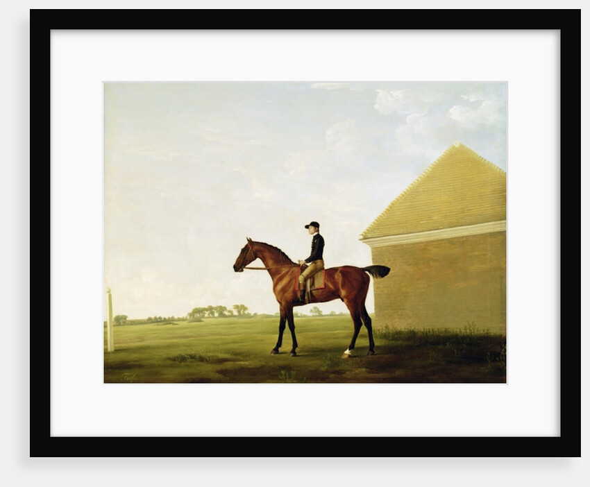 Turf, c.1765 by George Stubbs