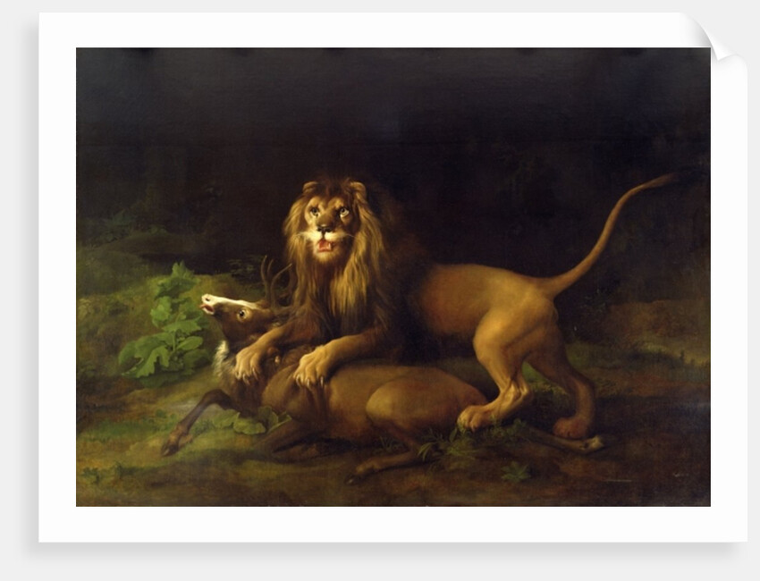 A Lion Attacking a Stag, c.1765 by George Stubbs