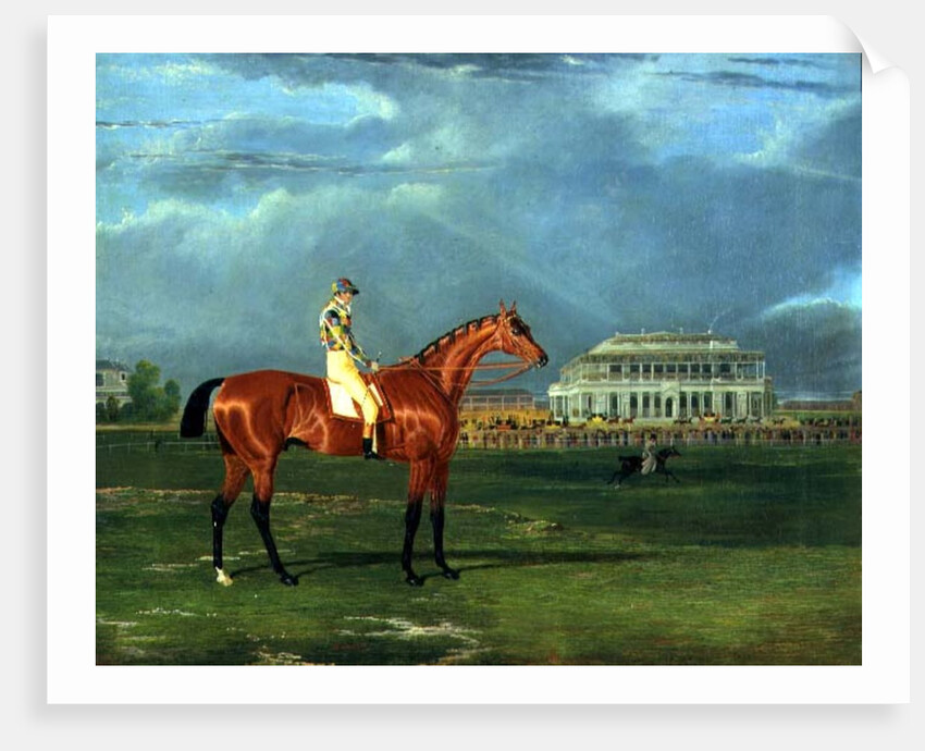 Memnon with William Scott Up, 1825 by John Frederick Herring Snr