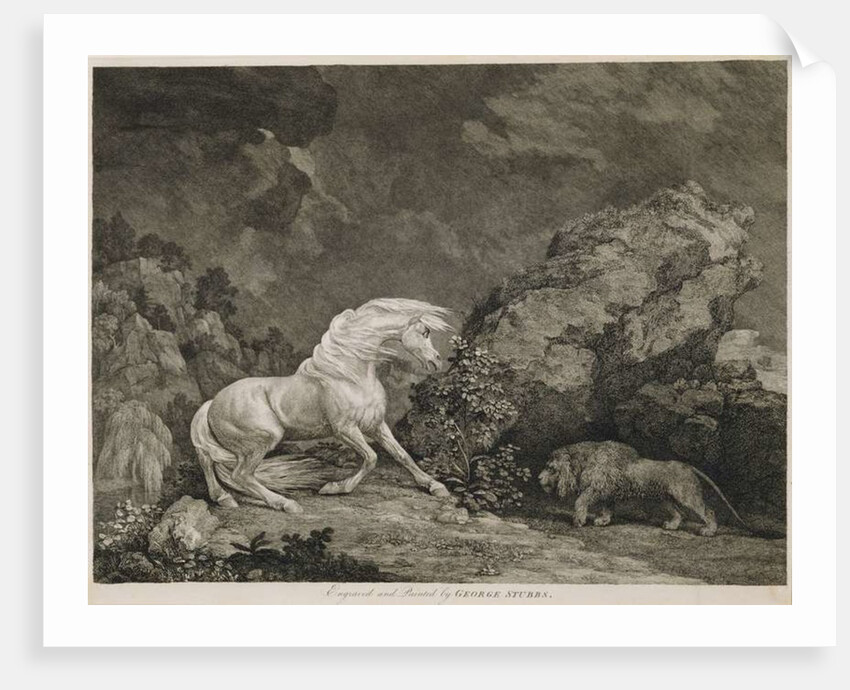 A Horse Affrighted by a Lion by George Stubbs