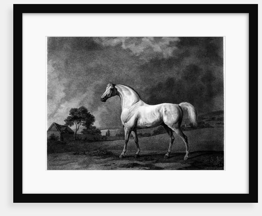 Mambrino by George Stubbs