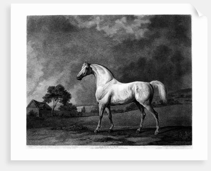 Mambrino by George Stubbs