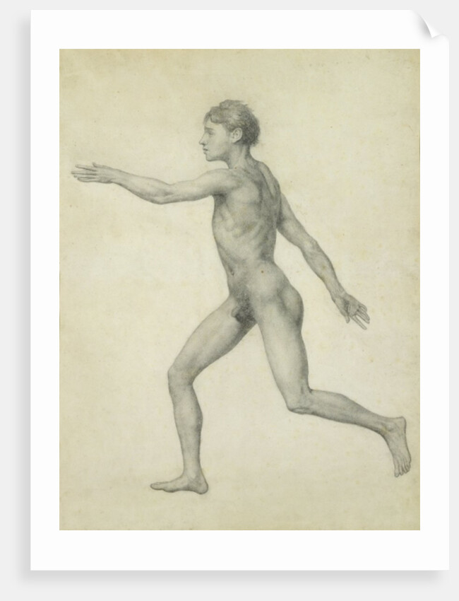 The Entire Human Figure from the Left, lateral view by George Stubbs