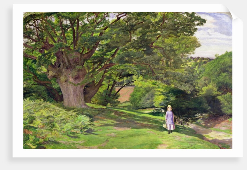 Hayes Common, 1852-53 by William Henry Millais