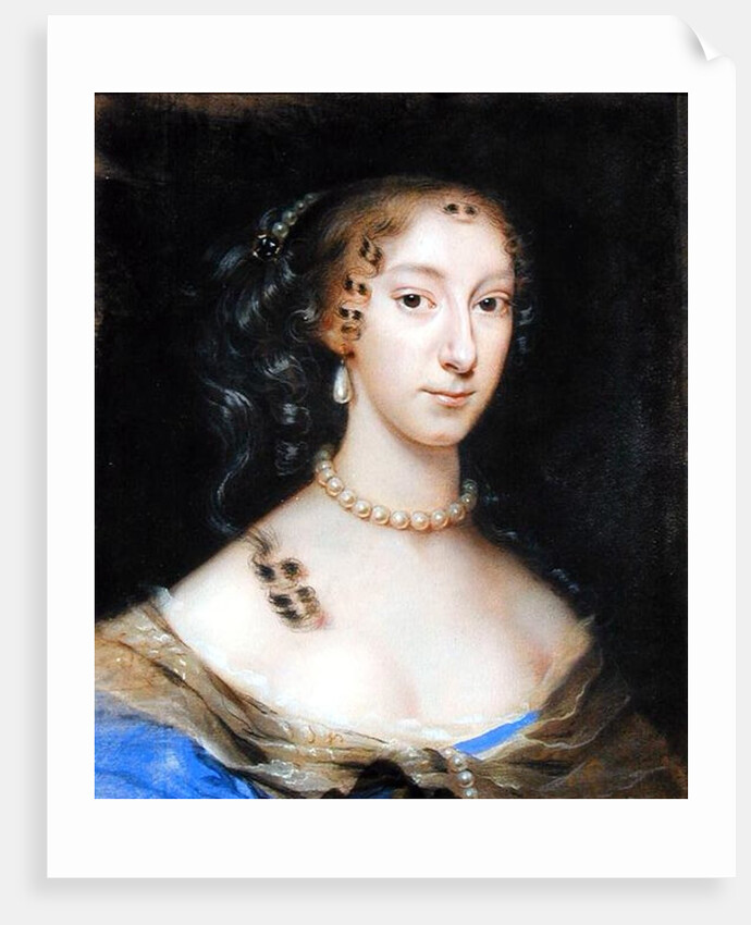 Portrait of a Nobleman's Wife by Edmund Ashfield