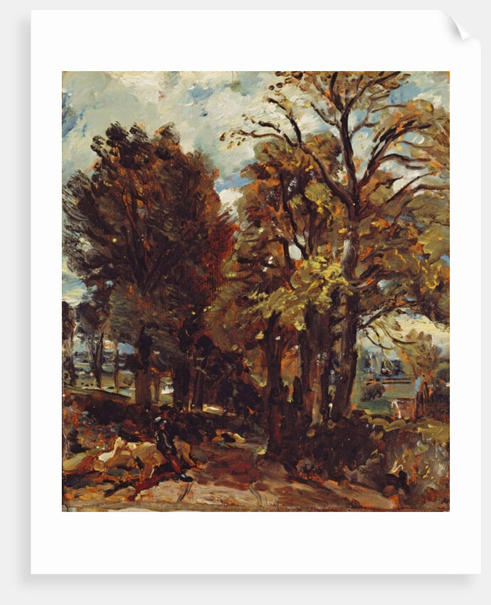 Sketch of a Lane at East Bergholt, c.1810 by John Constable
