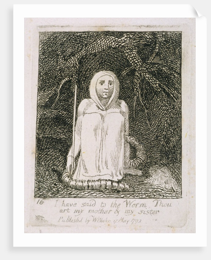 Have Said to the Worm Thou Art My Mother and My Siste by William Blake