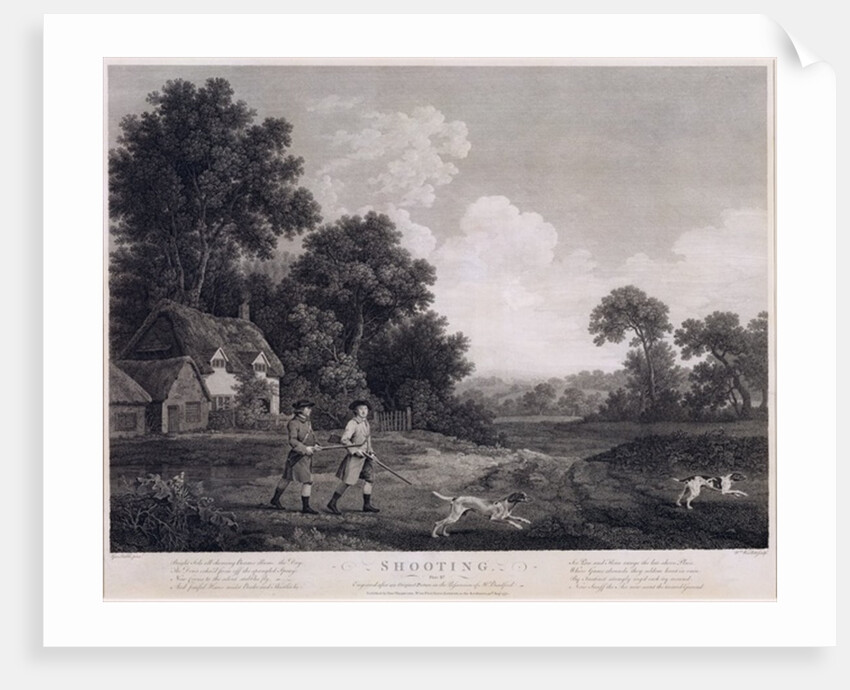 hootin by George Stubbs